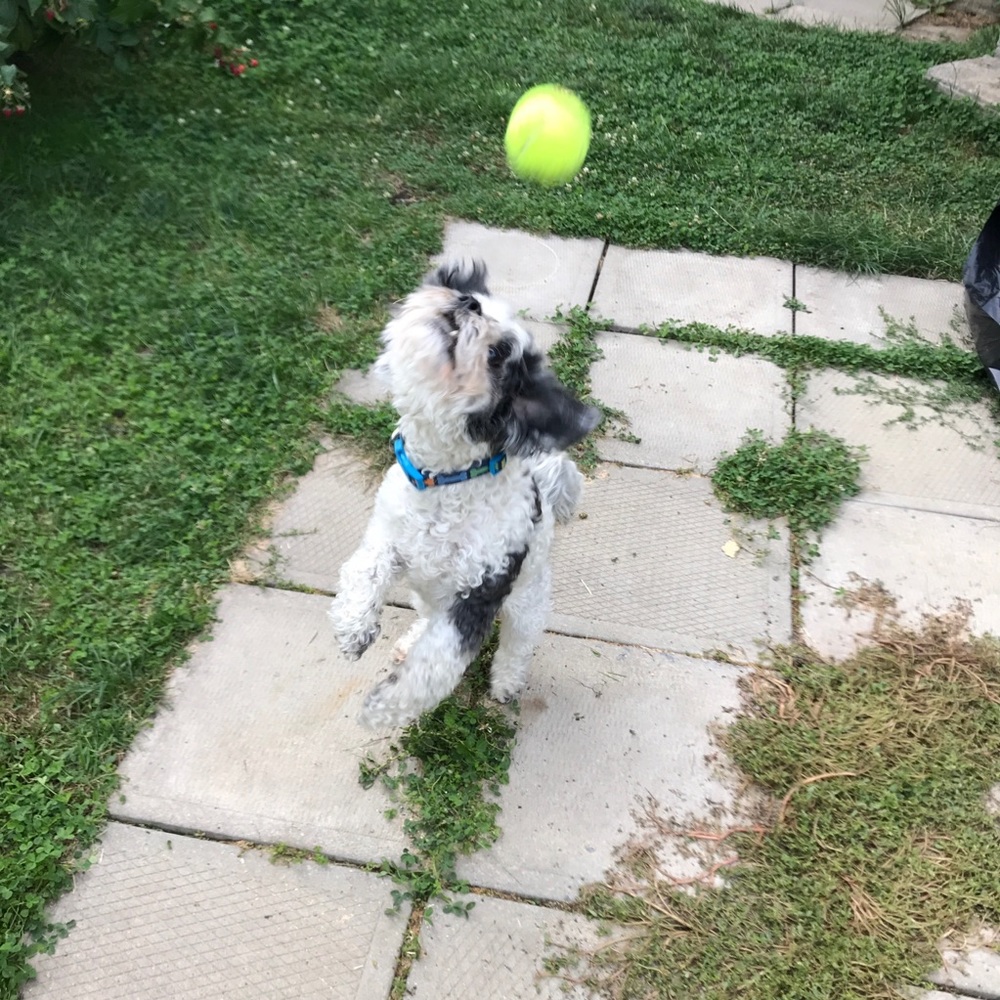 Meet your Posher, Catherine